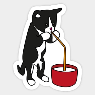 Kitty drinking milk Sticker